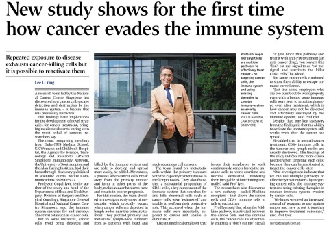 New study shows for the first time how cancer evades the immune system